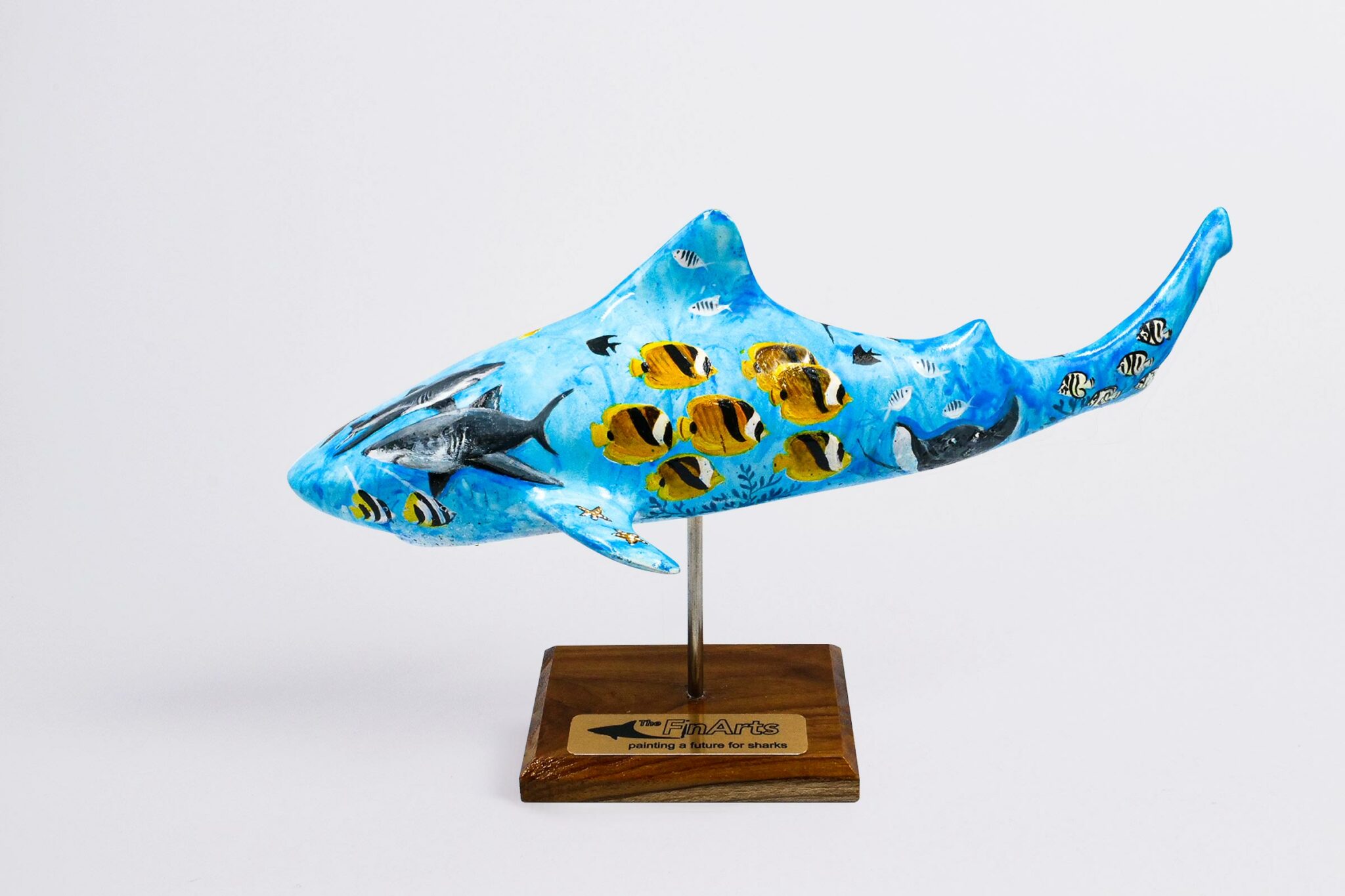 Ocean Life The Fin Arts 